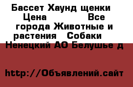 Бассет Хаунд щенки › Цена ­ 20 000 - Все города Животные и растения » Собаки   . Ненецкий АО,Белушье д.